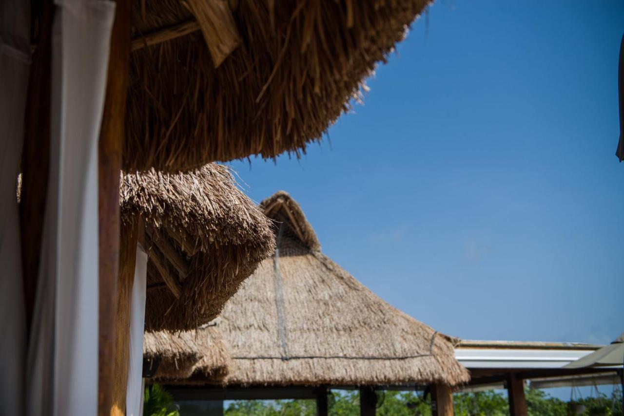 Naay Tulum Curamoria Collection Ngoại thất bức ảnh